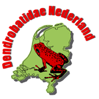 Dendrobatidae Nederland